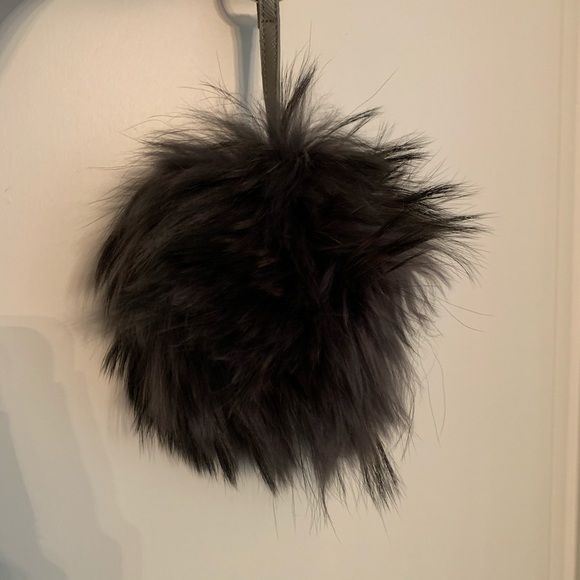 Bag Bug - Picture 5 of 7